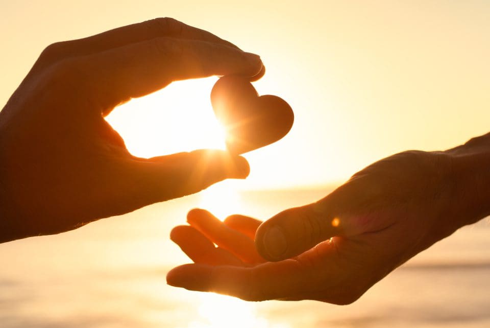 Two hands reaching out to each other in the sunlight.